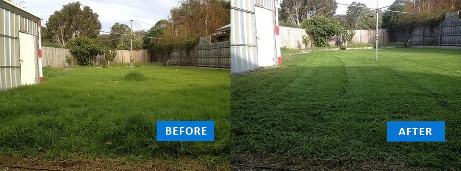 before and after lawn mowing
