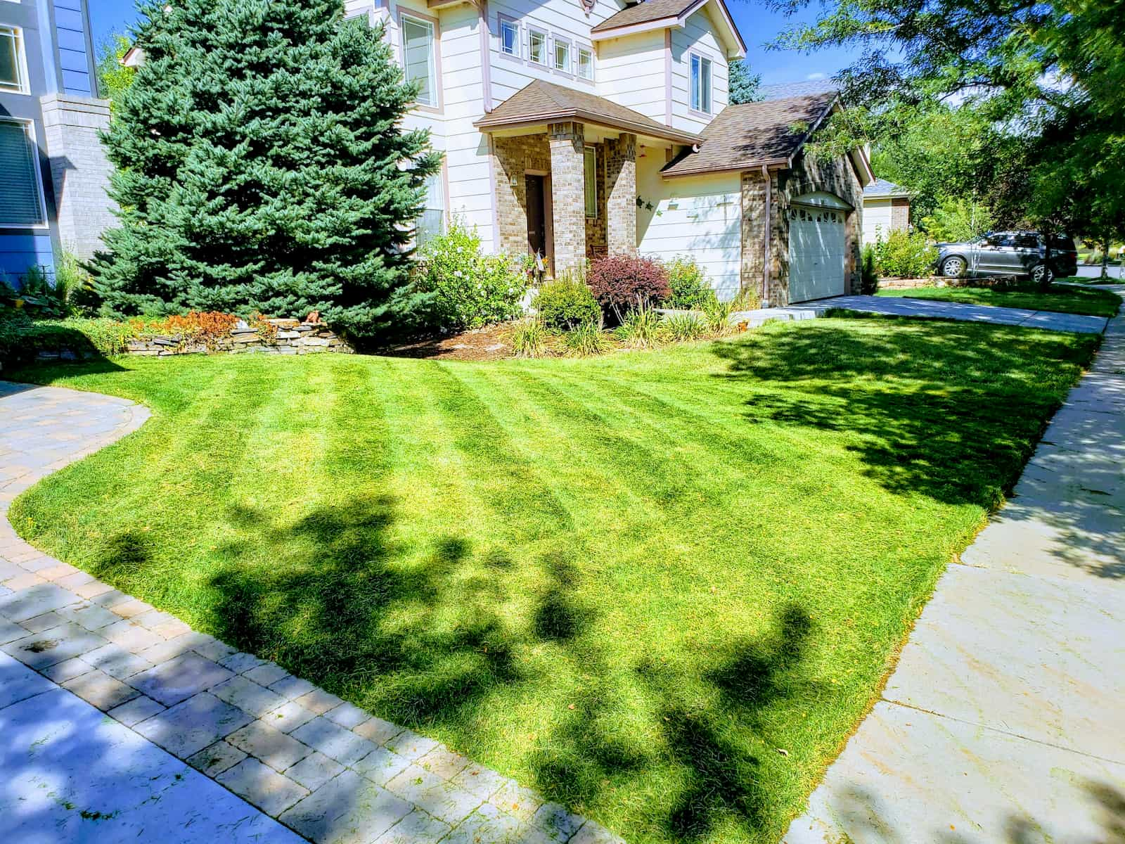 Freshly Mowed Front Lawn 