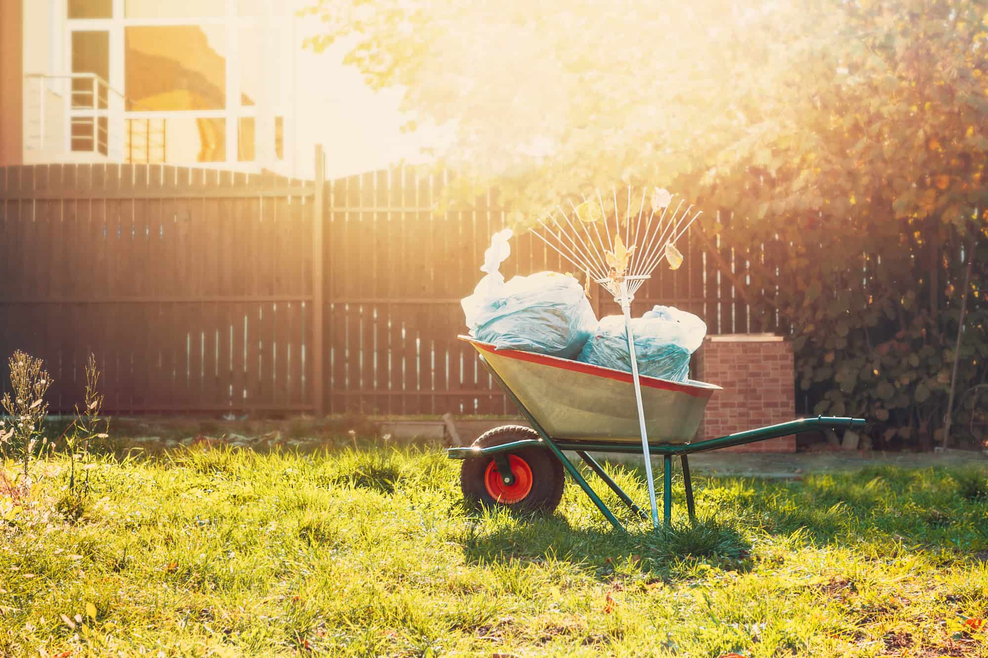 leaf removal wheelbarrow with garbage bags