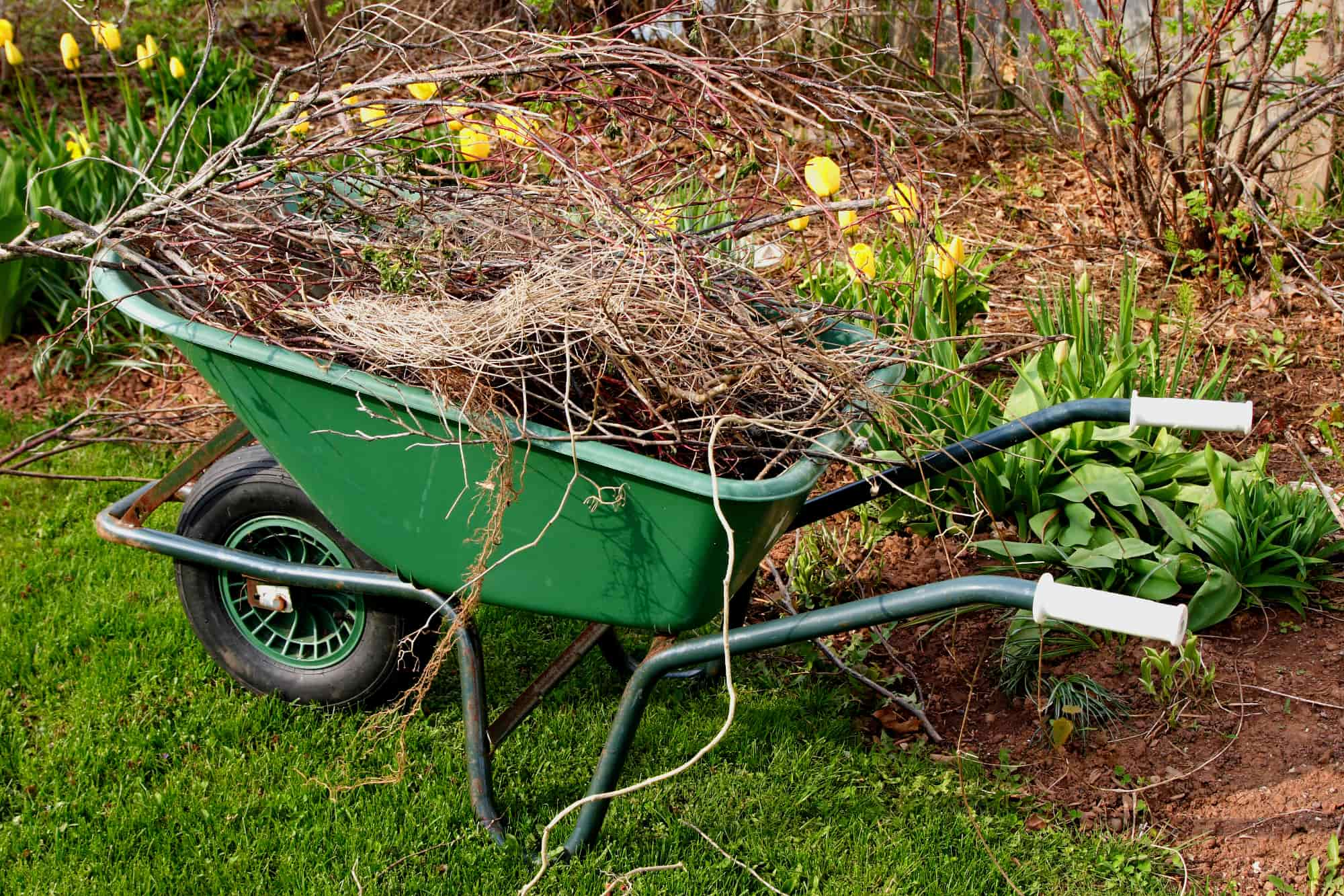 Yard Debris Removal in OKC, Full-Service