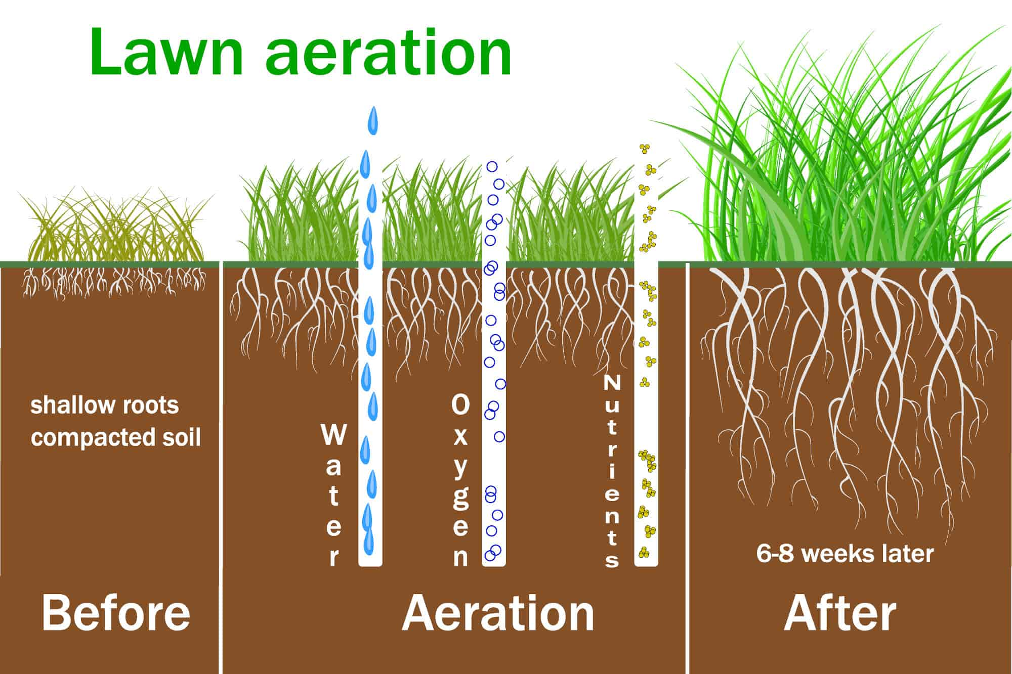 how does lawn aeration work