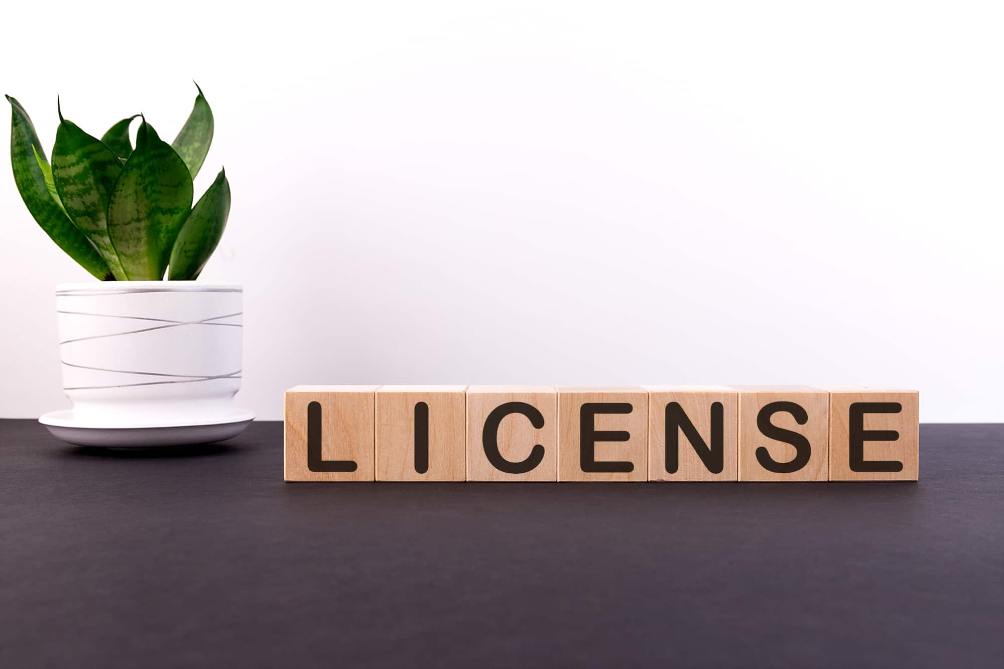 city of washington mo business license search