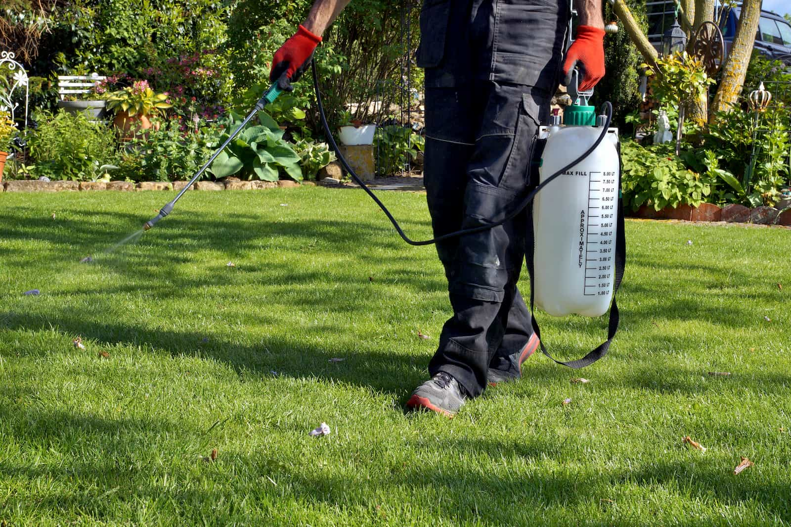 lawn care professional applying weed killer