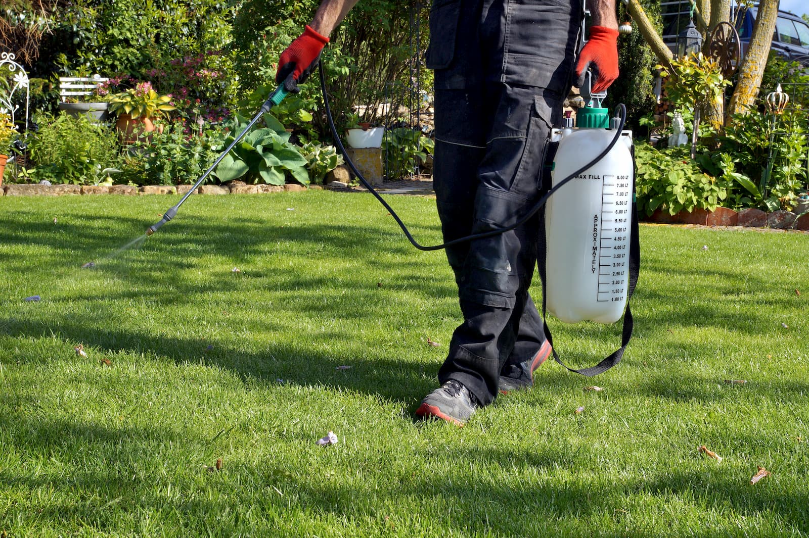 how to spray weed killer