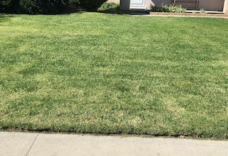 Albuquerque Lawn Care Mowing Services Lawn Love Of Albuquerque Albuquerque Lawn Care Mowing Services Lawn Love Of Albuquerque