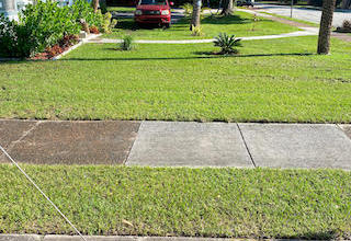Port St Lucie Lawn Care Mowing Services Lawn Love Of Port St Lucie