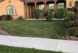 San Diego Lawn Care Mowing Services Lawn Love Of San Diego