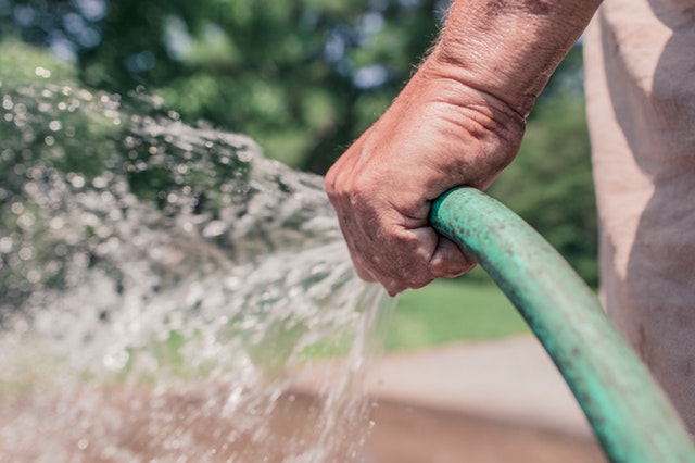 the-best-time-to-water-your-grass-lawn-love