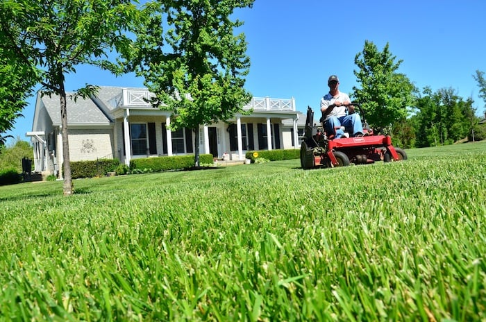 how-high-should-your-grass-be-cut