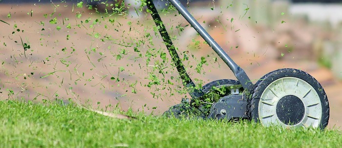 Do You Have to Mow Your Lawn? Do You Have to Mow Your Lawn?