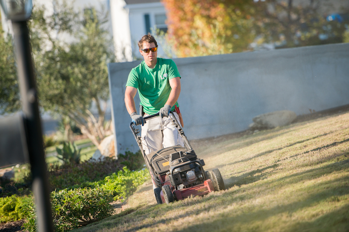 When You Should Not Mow Your Lawn (And Other Mowing Mistakes)