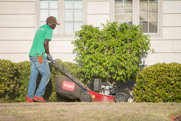 The 10 Best Lawn Care Services in Arlington Heights, IL from $30