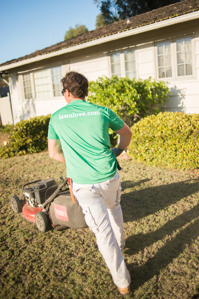 How Much Should I Charge To Mow A Lawn In Canada