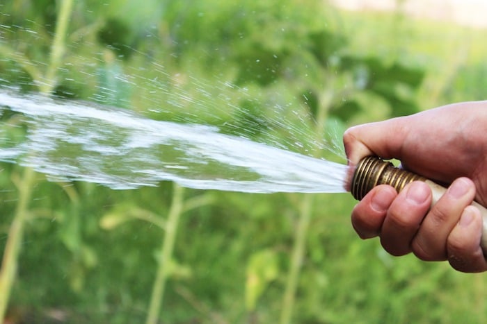 The Economics of Watering Your Lawn