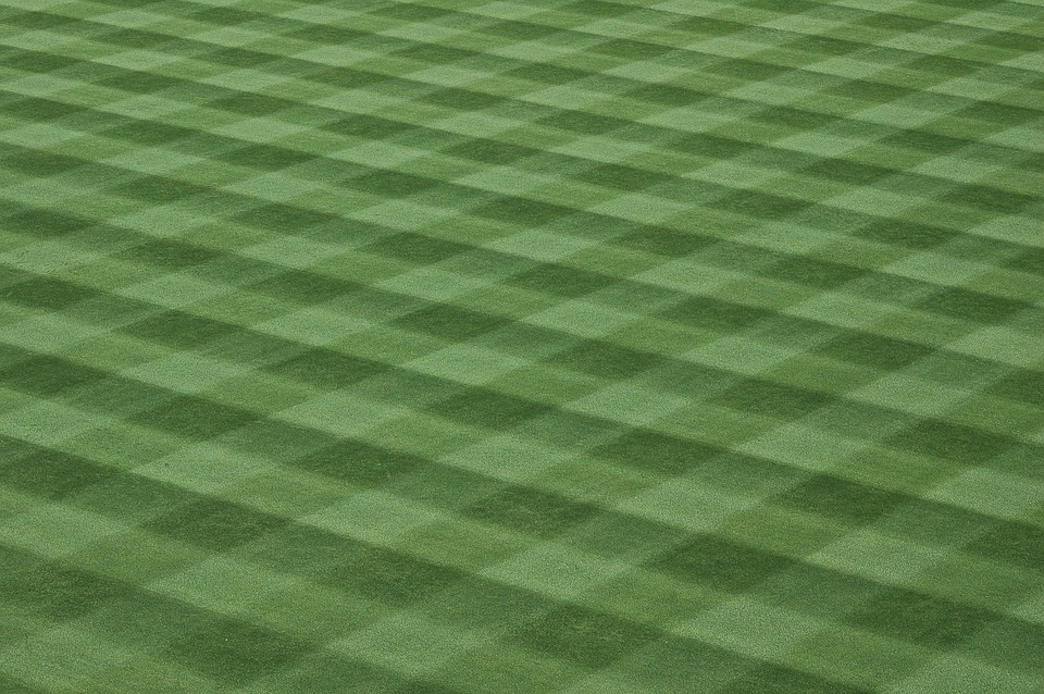 Stripe Your Lawn Like the Major Leagues - WSJ