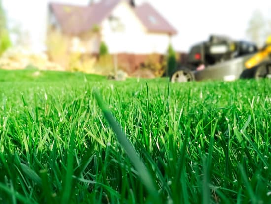 Guide to lawn fertilization