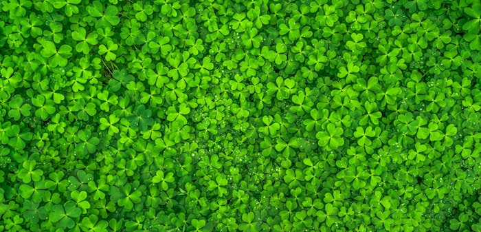 The Secret to a Clover-Free Lawn