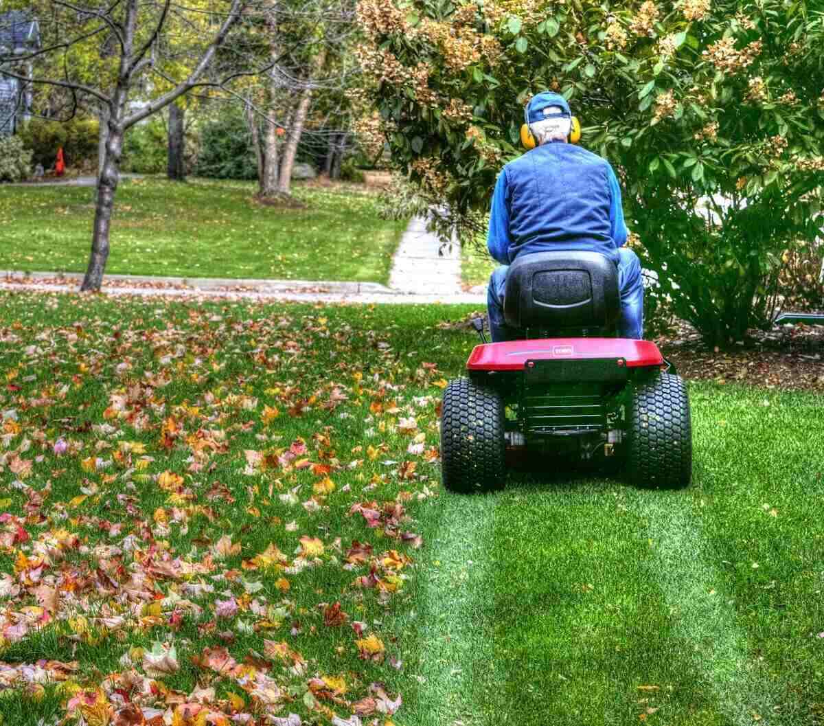 Fall Lawn Care Checklist for Fort Worth - Lawn Care Blog ...