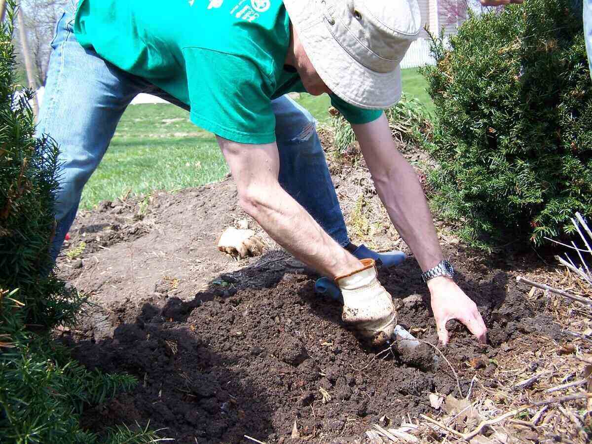 Fall Lawn Care Tips to 'Leaf' No Trace