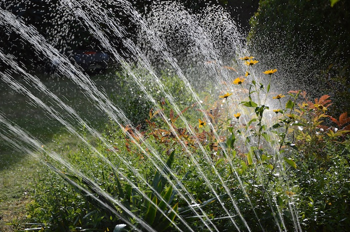 How Often Should I Water My Lawn with a Sprinkler System