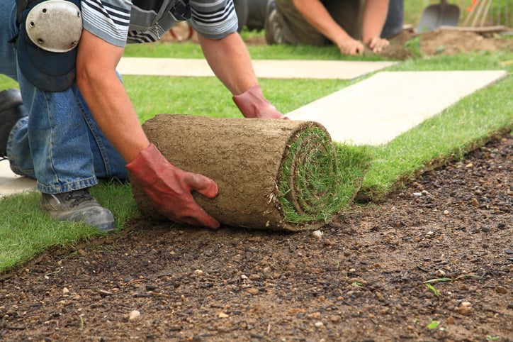 How To Install Sod Lawn Love - Laying A Patio On Top Of Grass