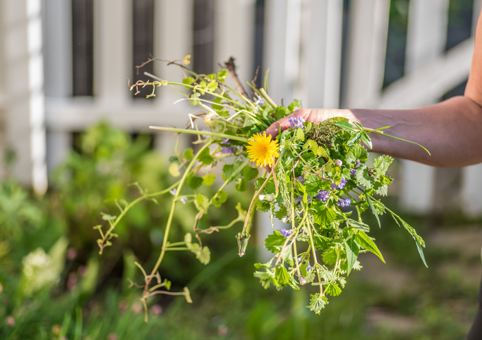 Weed Control