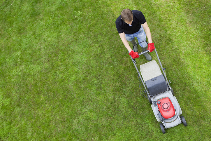 Cutting grass 2025 on a slope