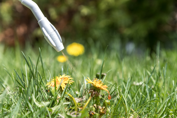 Green Gobbler Organic Weed Killer Liquid 1 gal.