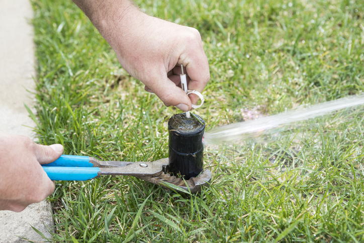 How To Create A Diy Sprinkler System For Your Lawn Lawn Care Blog Lawn Love
