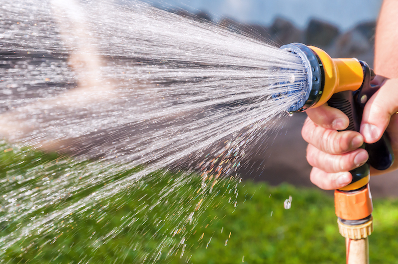 The best time of the day to water your lawn