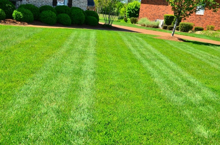 how to mow a lawn