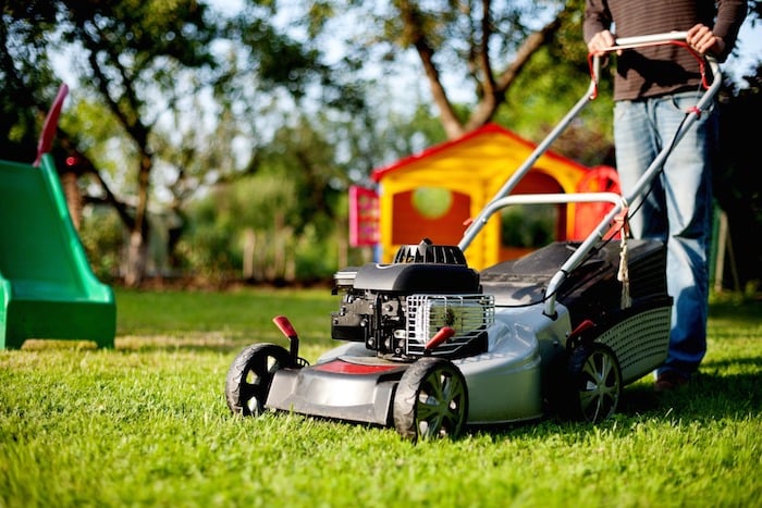 the-best-time-to-mow-your-lawn