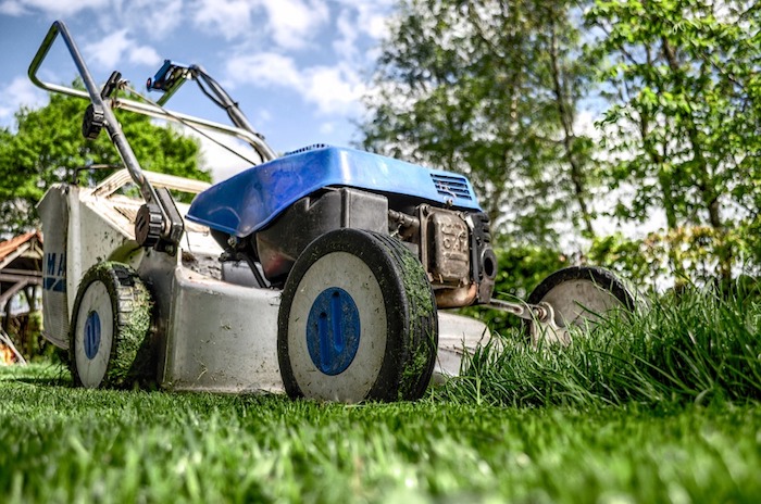 What No One Tells You About Mowing Your Minneapolis Lawn