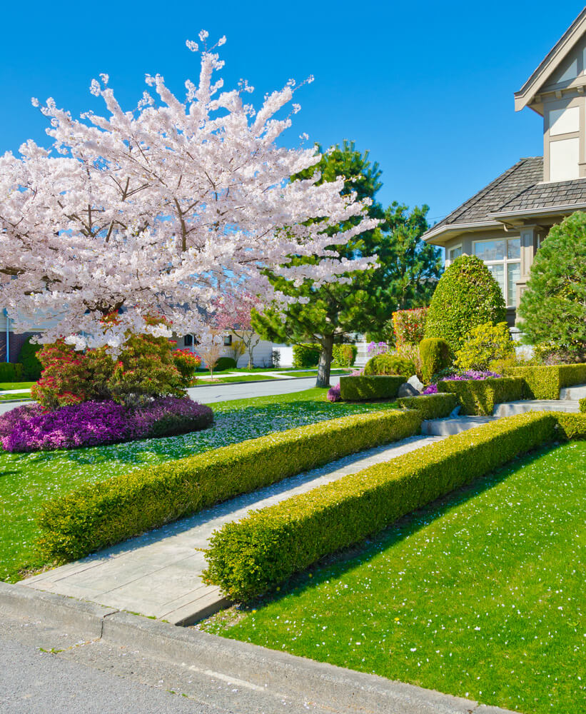 Lawn and shop landscape